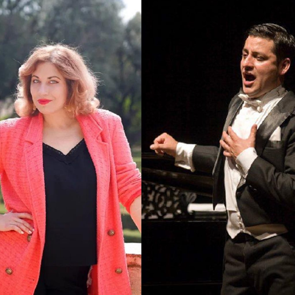 Cantante profesional